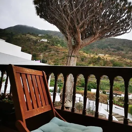 Drago Chico * Icod De Los Vinos