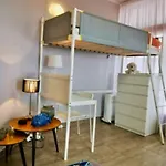 Apartment Drago Chico